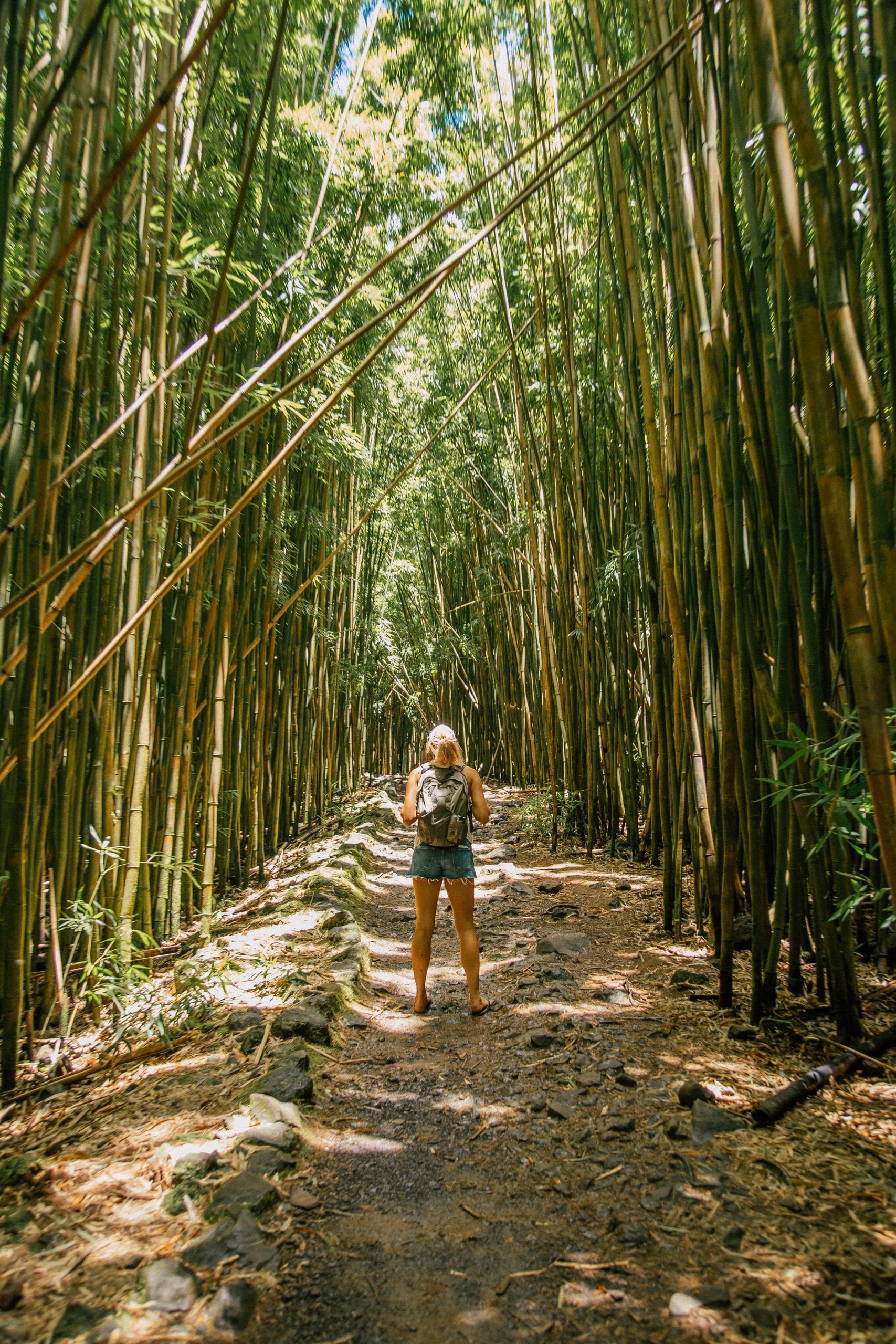 Top Things to see in Maui