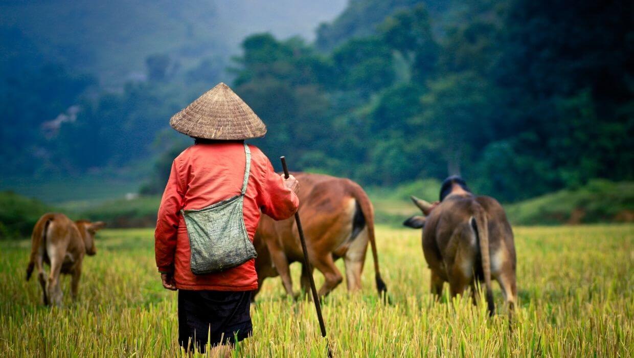 unbelievable places to visit in Laos