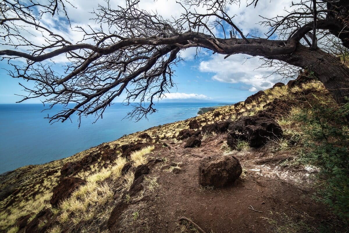 Lahaina Pali Hike in West Maui