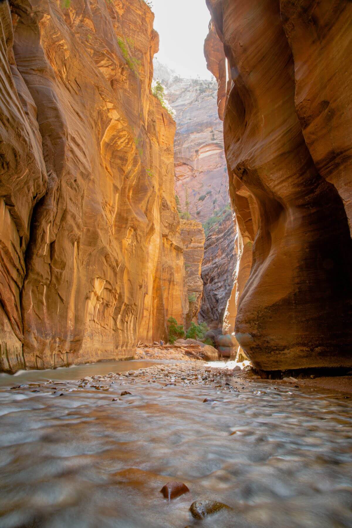 Hiking the Narrows in Zion