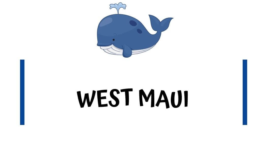 Airbnb condos in West Maui