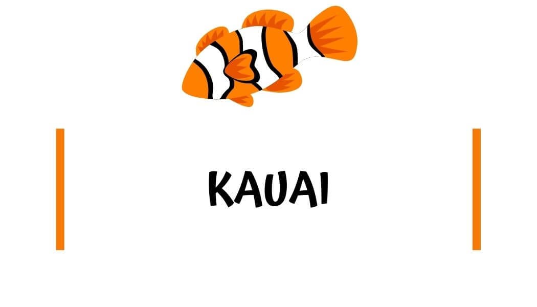 Kauai travel guides 