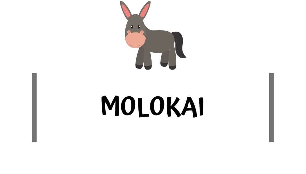 Molokai travel guides
