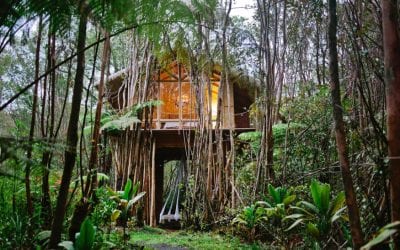 The Coolest Airbnbs in Hawaii