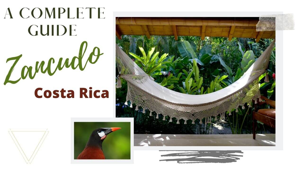A complete guide to Zancudo Costa Rica 