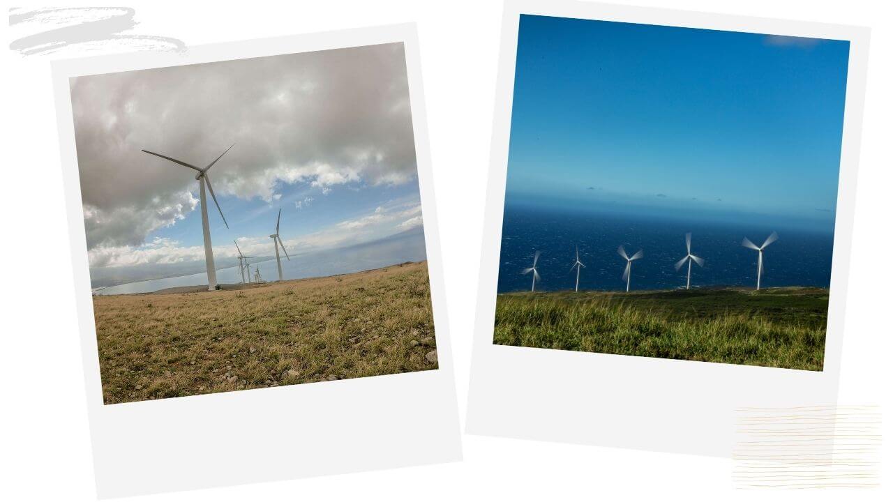 The windmill hike lahaina 