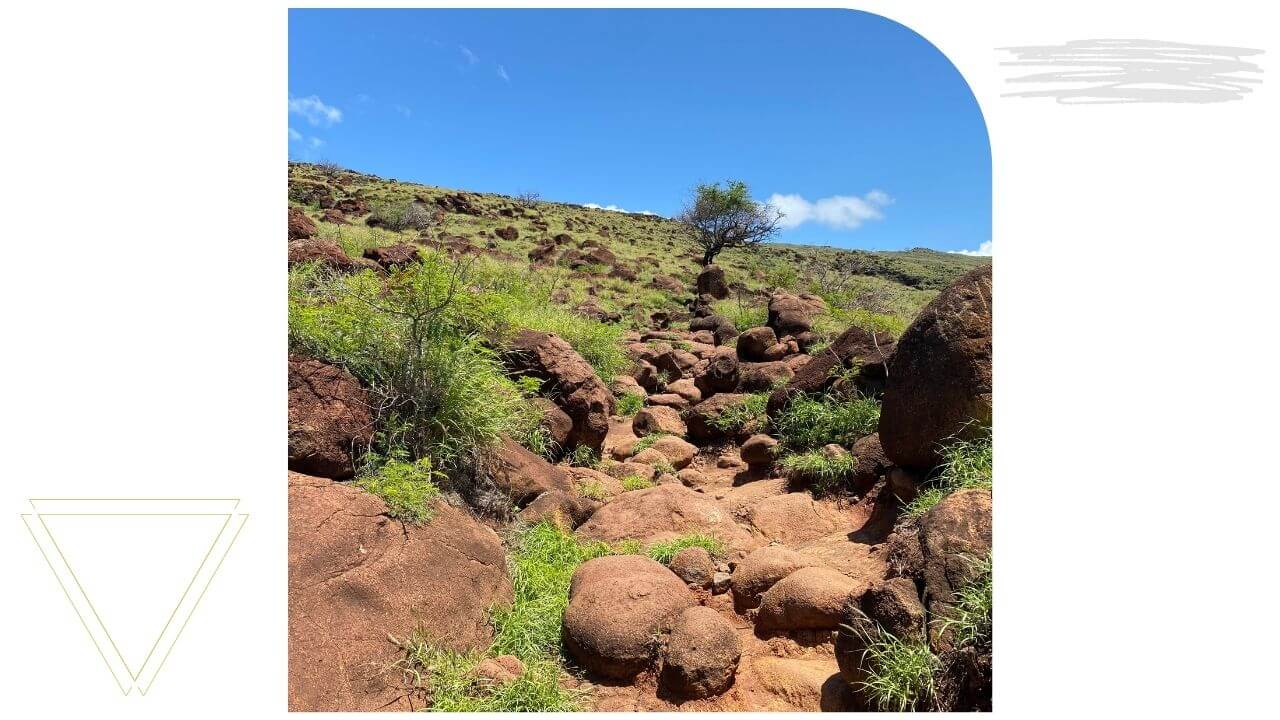 The Lahaina Pali Trail