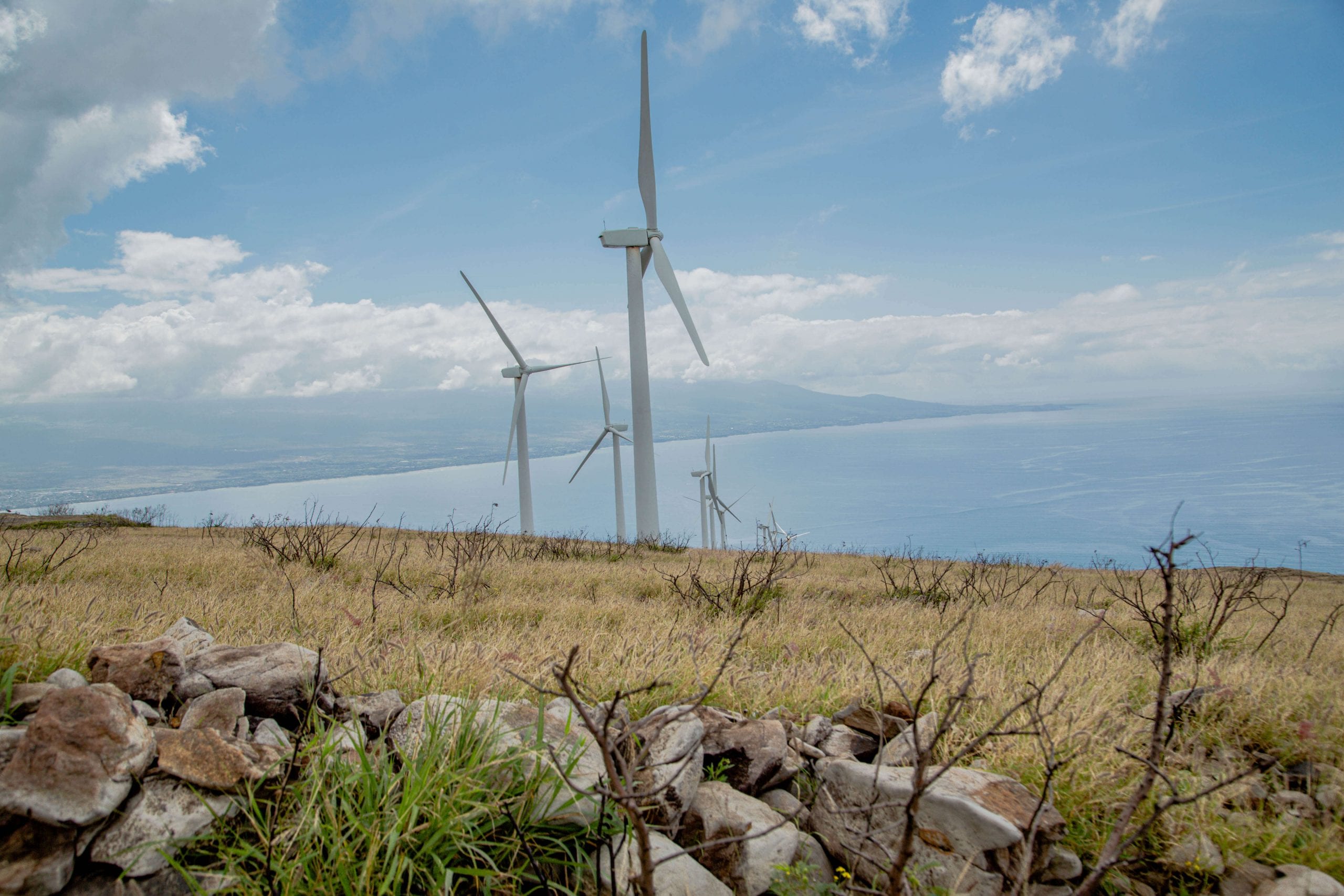 The Windmills of the Pali hIke