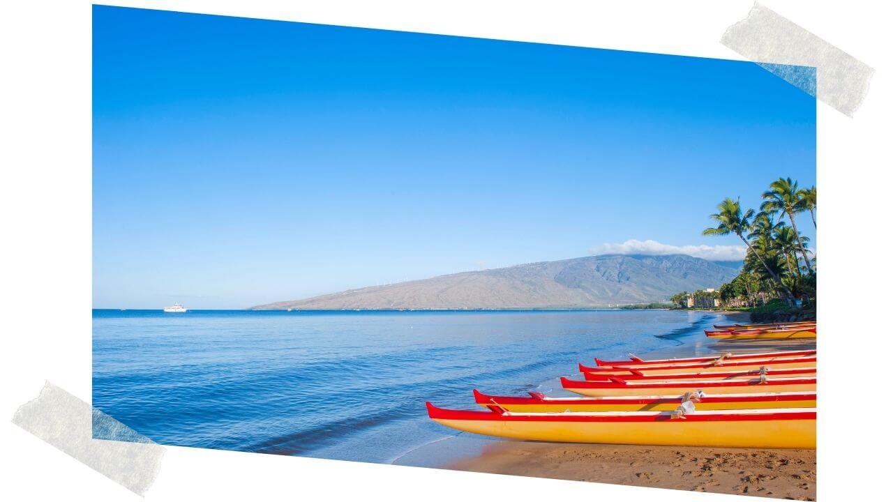 Hawaiian sailing canoes 