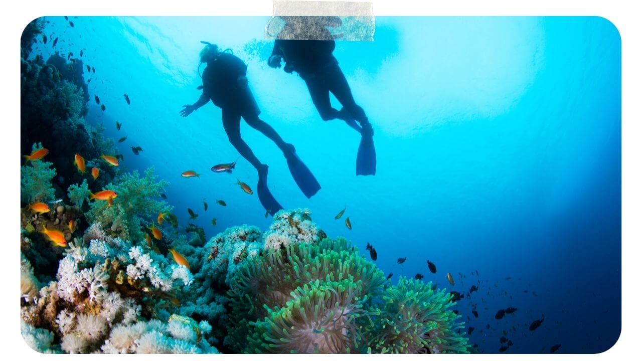 Scuba diving in Maui
