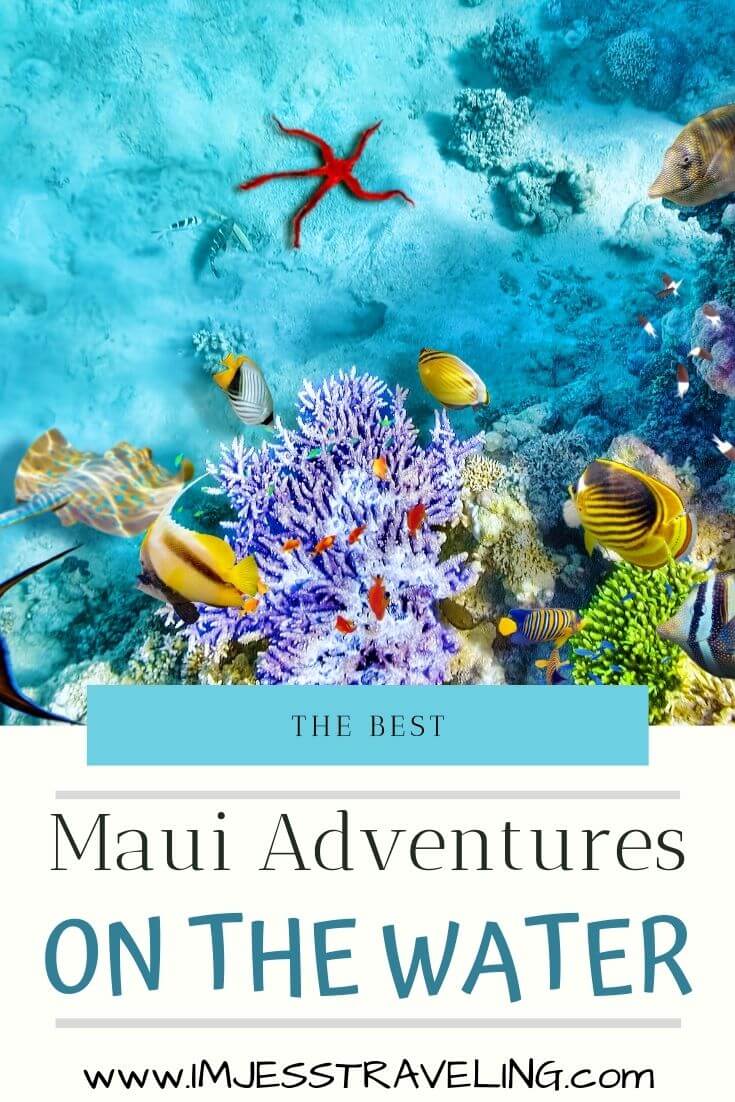 Maui water activities