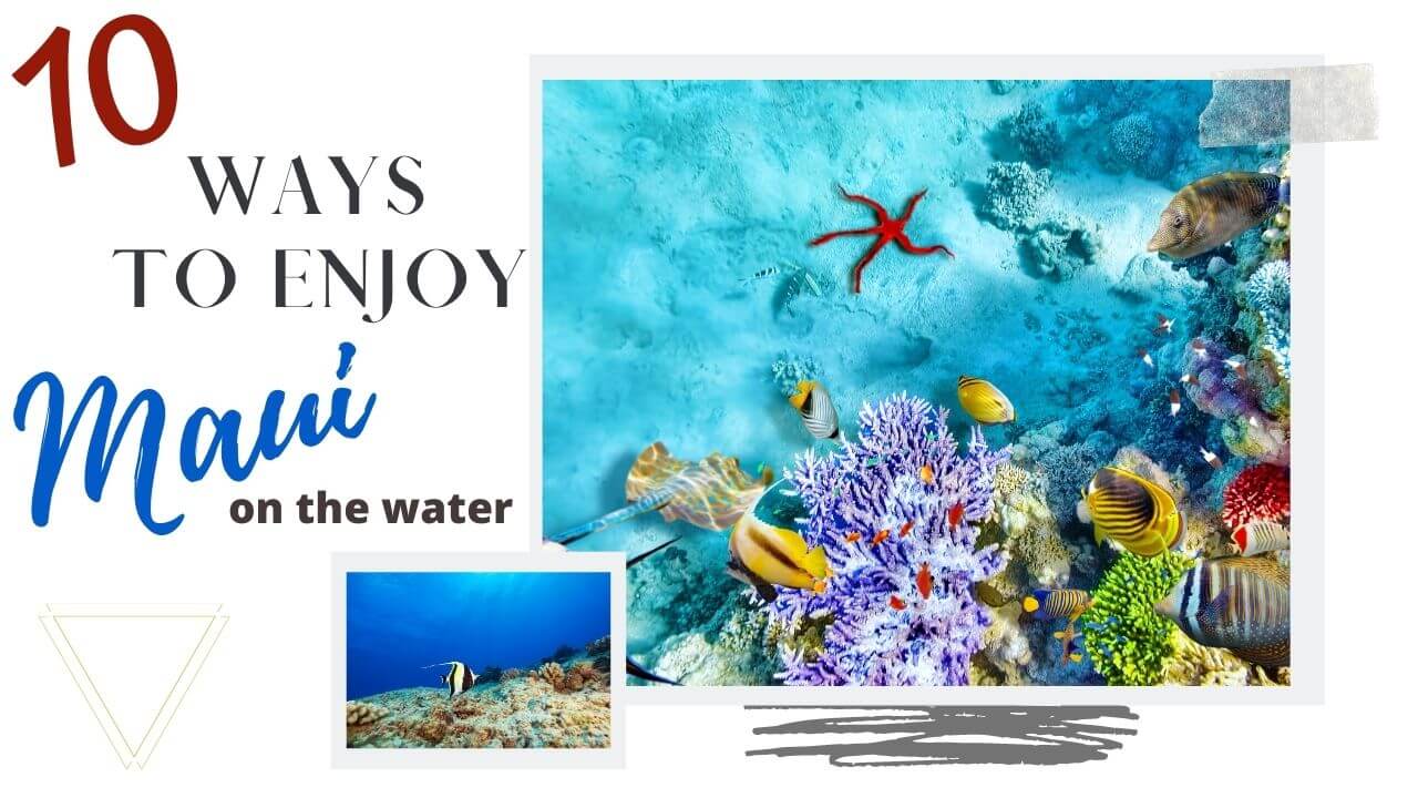 maui water activities to do on your next vacation