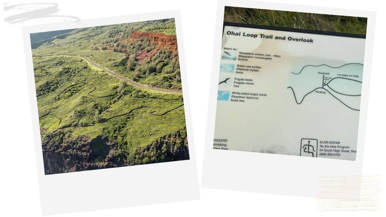 Directions to the Ohai Trail on Maui