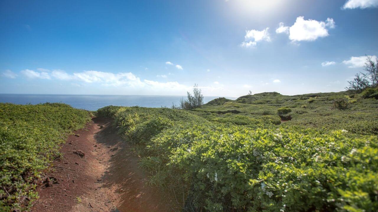 The Ohai Trail 