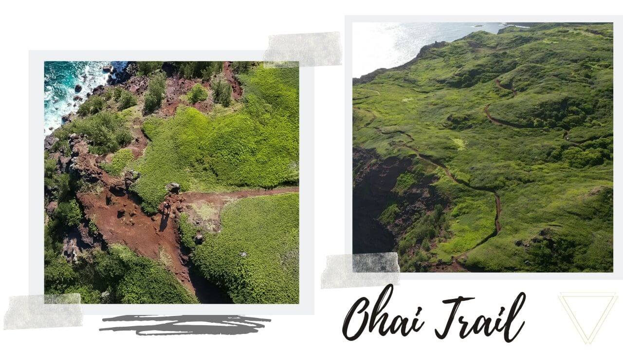 Ohai Trail Maui Hawaii