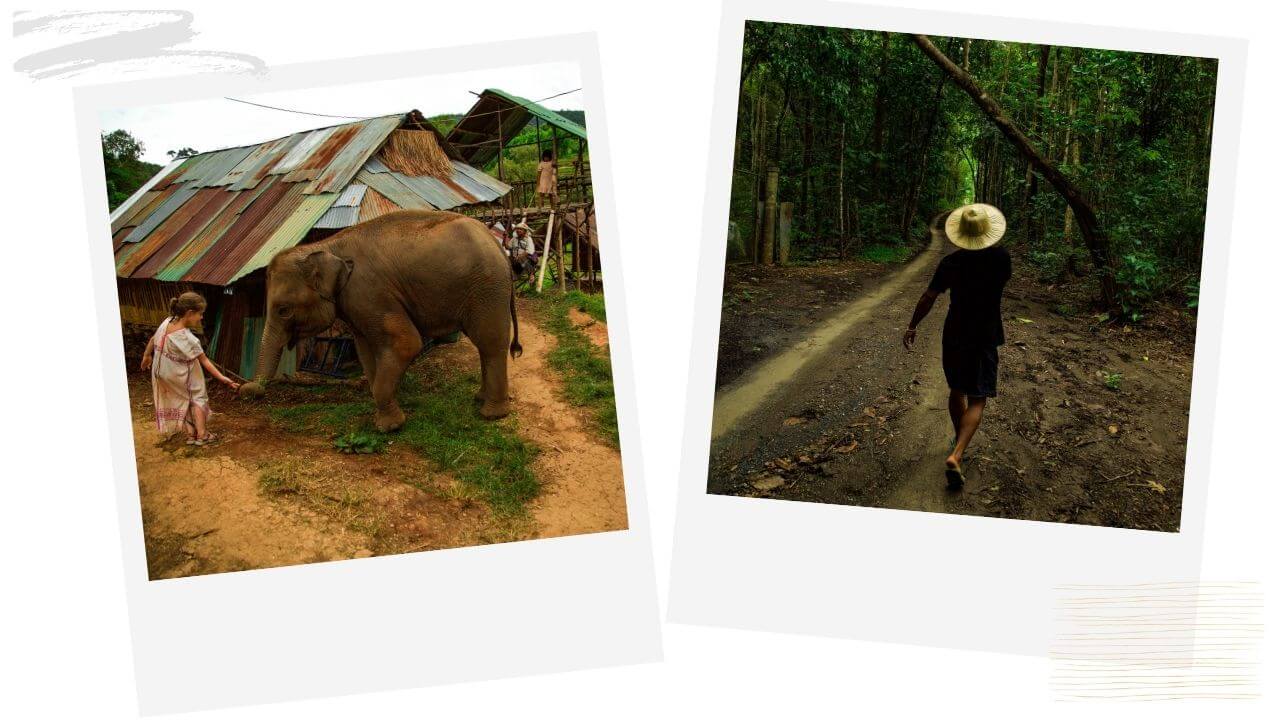 Hanging with elephants in Chiang Mai Thailand 
