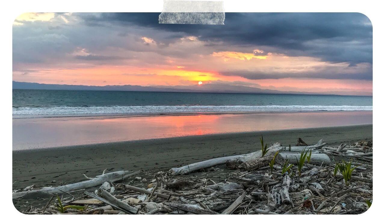 Zancudo Costa Rica 