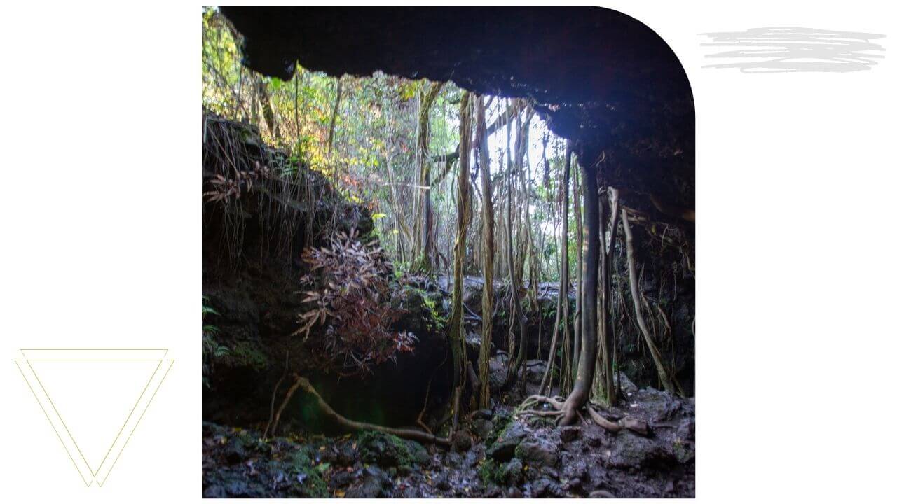 Lava formed caverns on the road to Hana 