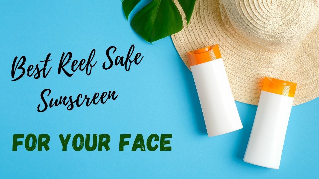 The best reef safe sunscreen products for your face .