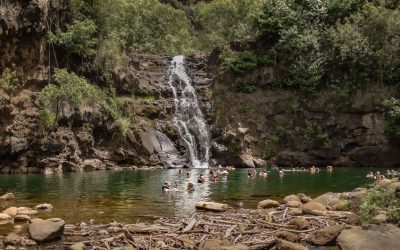 Waimea Falls & Waimea Botanical Gardens| Oahu, HI