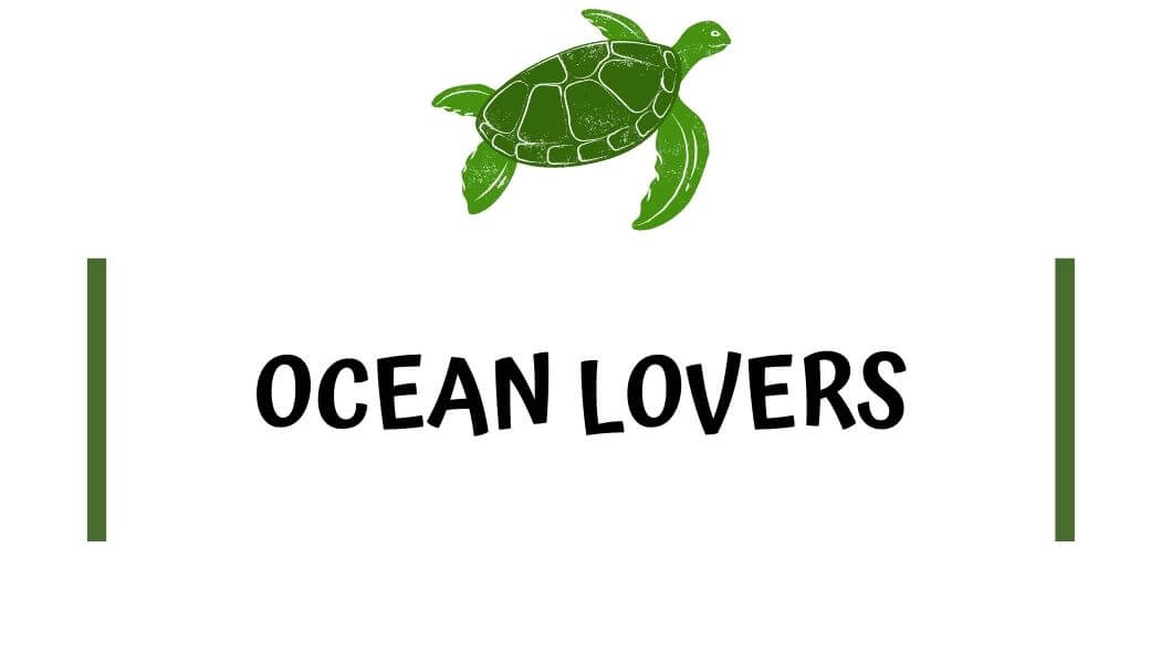 Ocean Gifts for Beach Lovers 