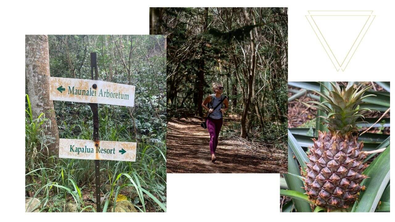 Hiking the Mahana Ridge Trail West Maui