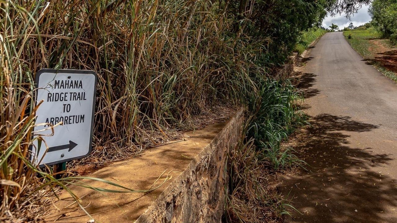 Mahana Ridge Trail Directions  on Maui 