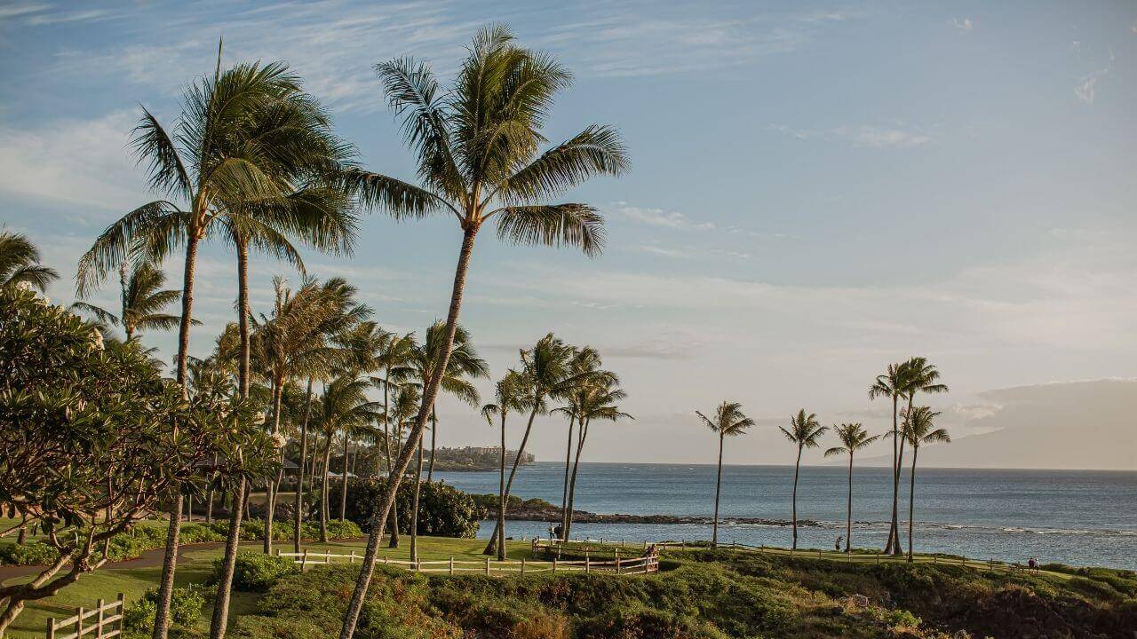 View of Kapalua Bay on the Coastal Trail