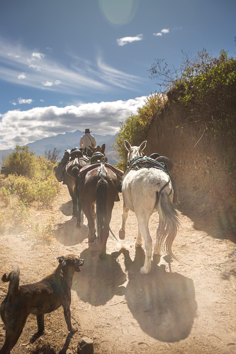 Colca Canyon Hike in Peru