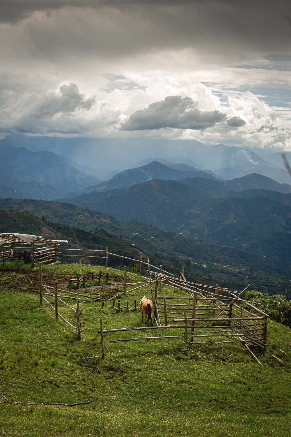 Views in the coffee triangle in Colombia
