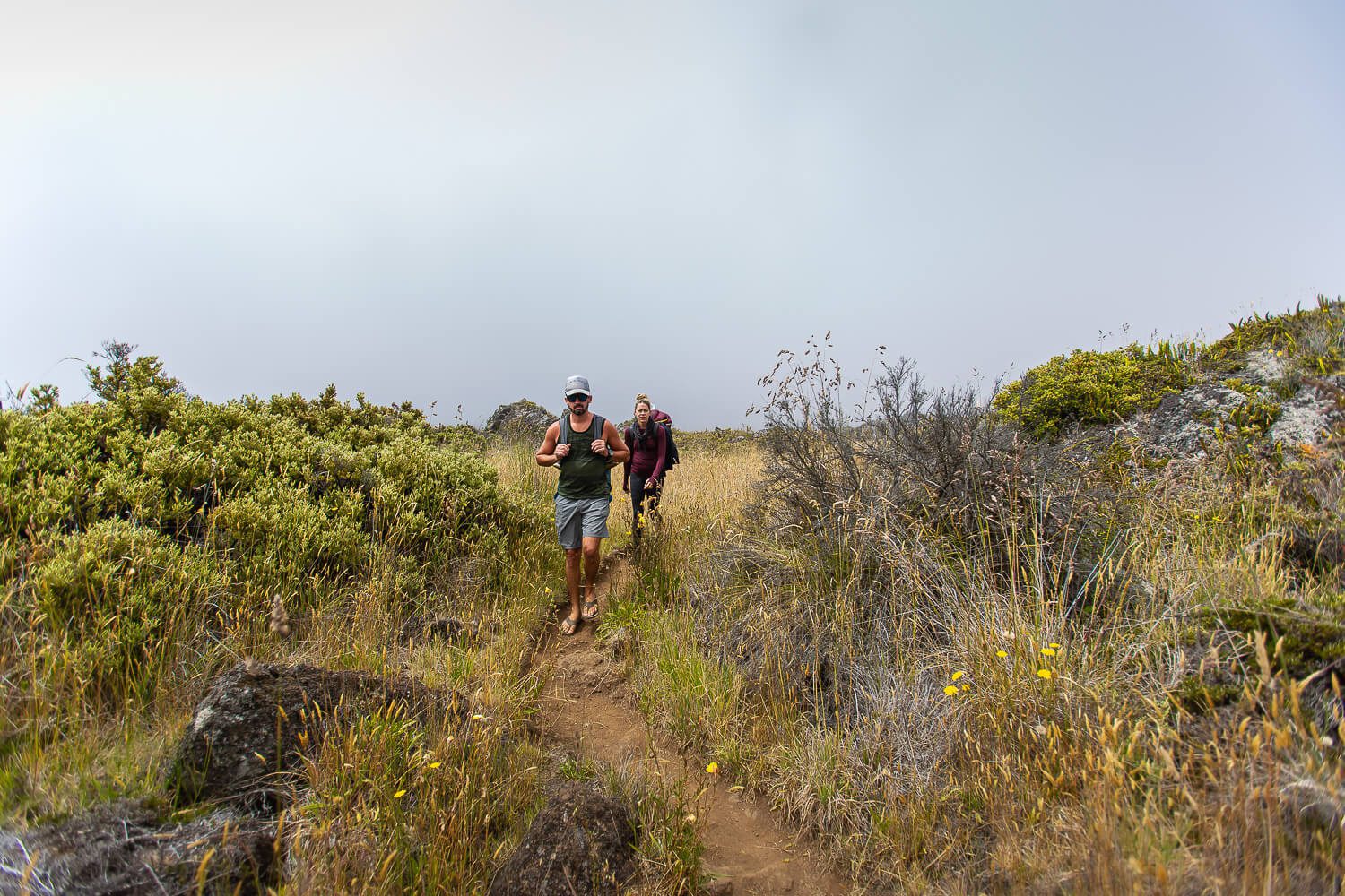 Hiking the Halemauu Trail