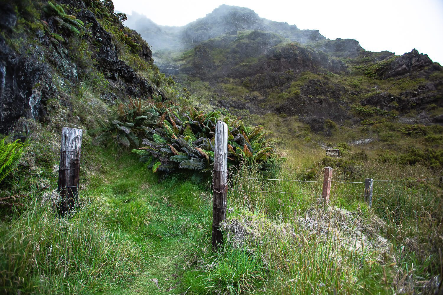 Hiking the Halemauu Trail