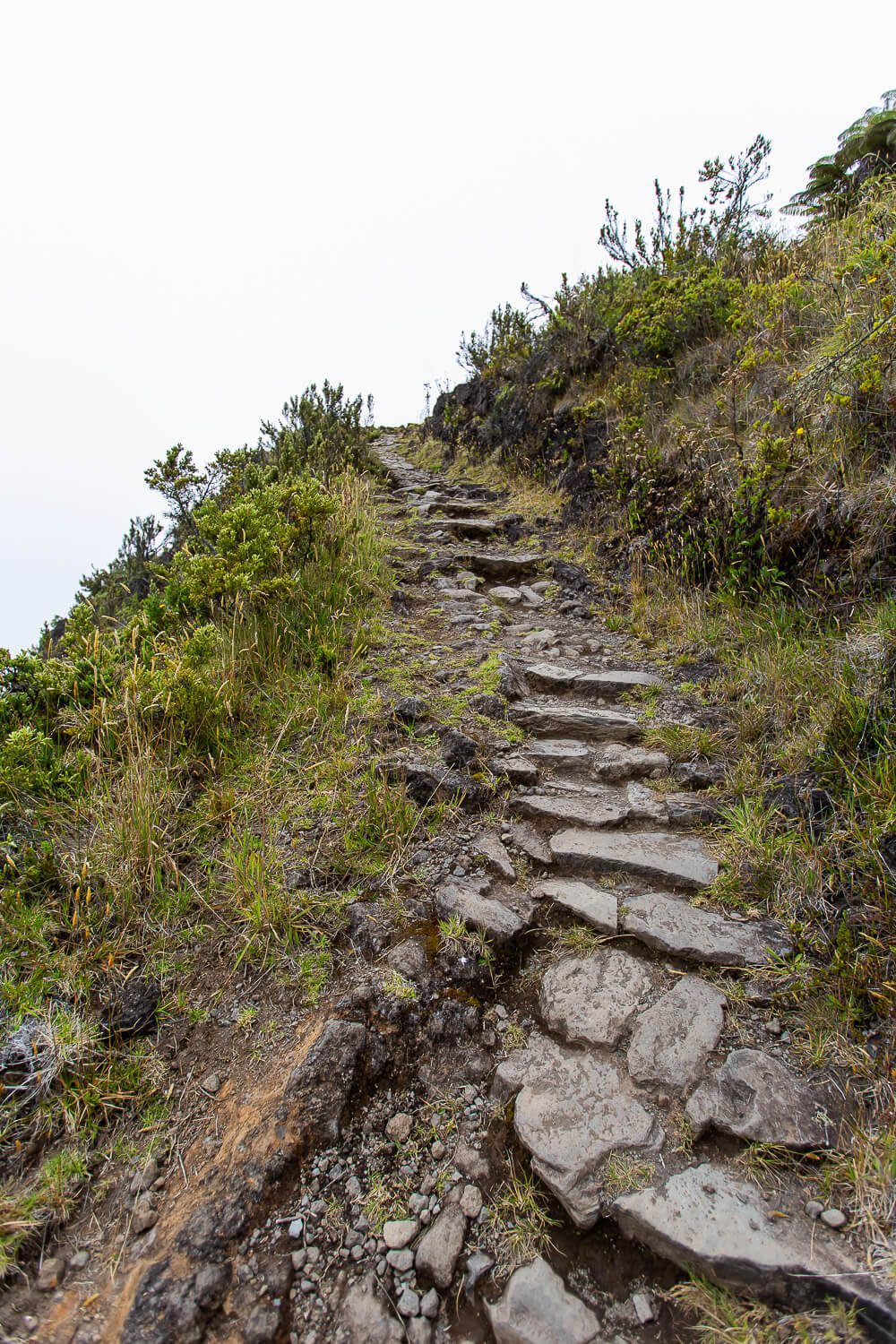 Halemauu Trail