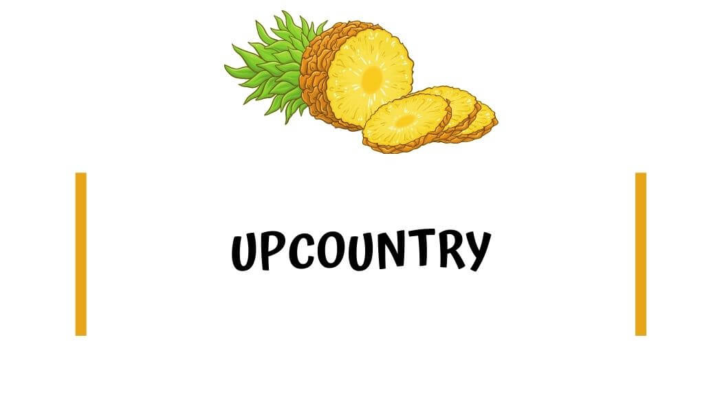 Where to stay in Maui - Upcountry 