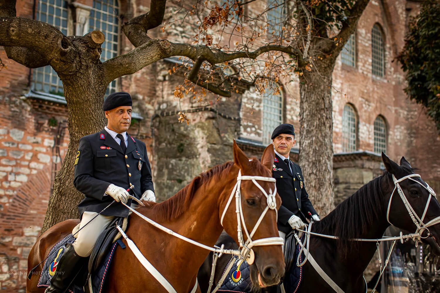 Horses and Guards at Topkapi Palace in Istanbul
