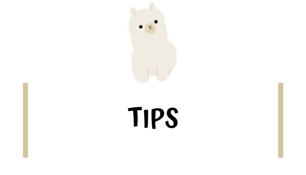Peru Travel Tips<br />
