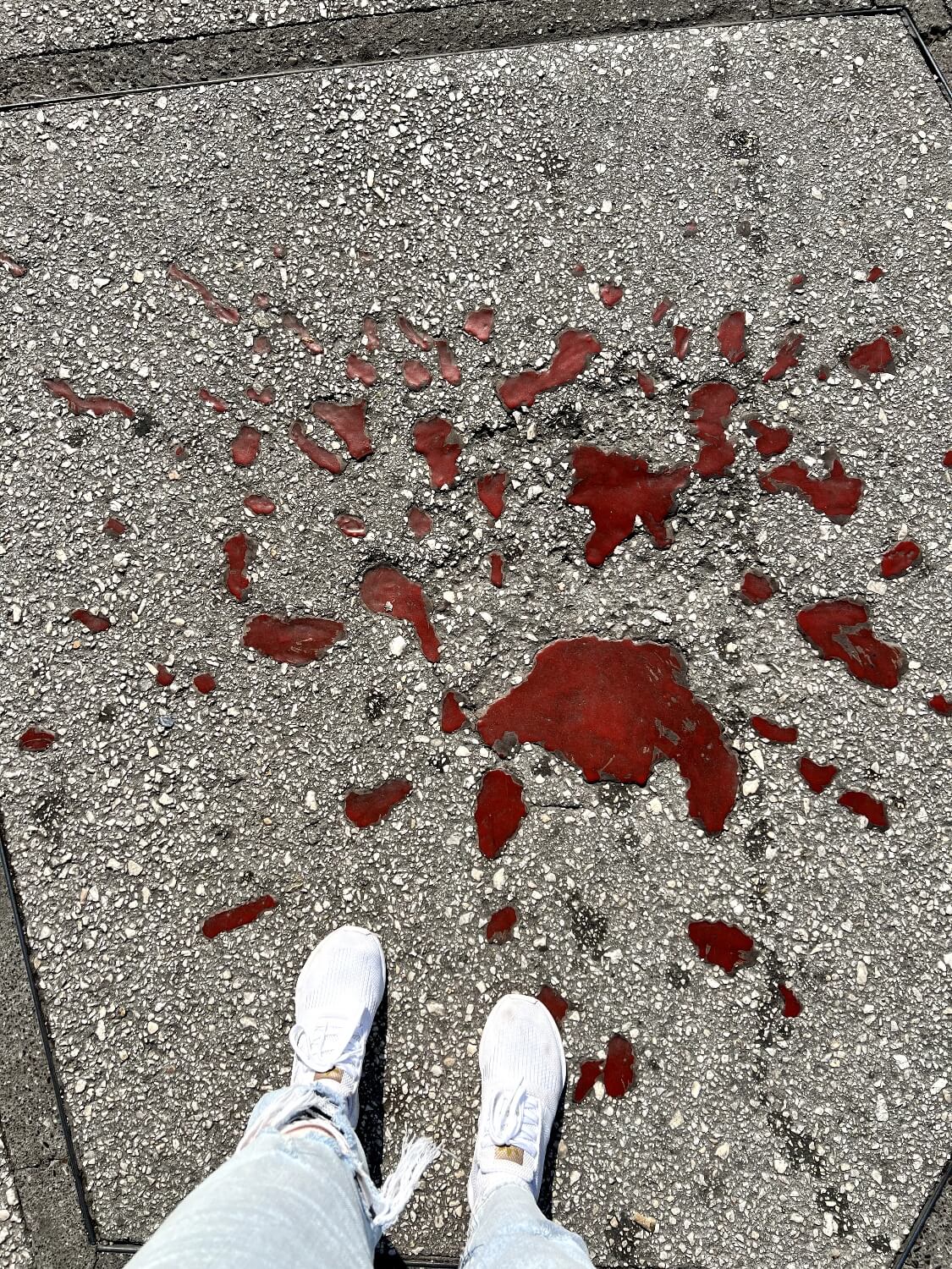 Sarajevo Roses<br />
