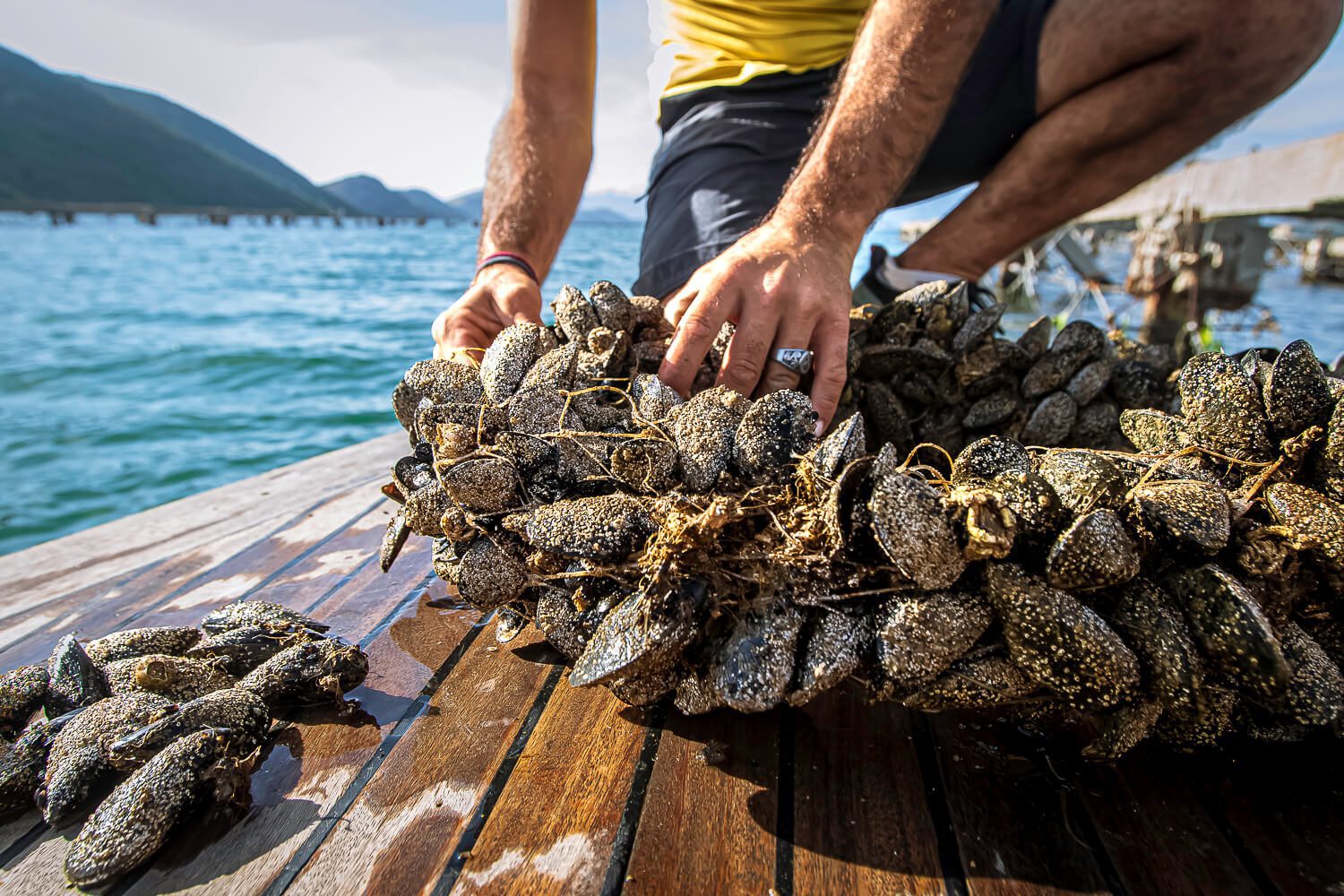 Mussel tour in Ksamil