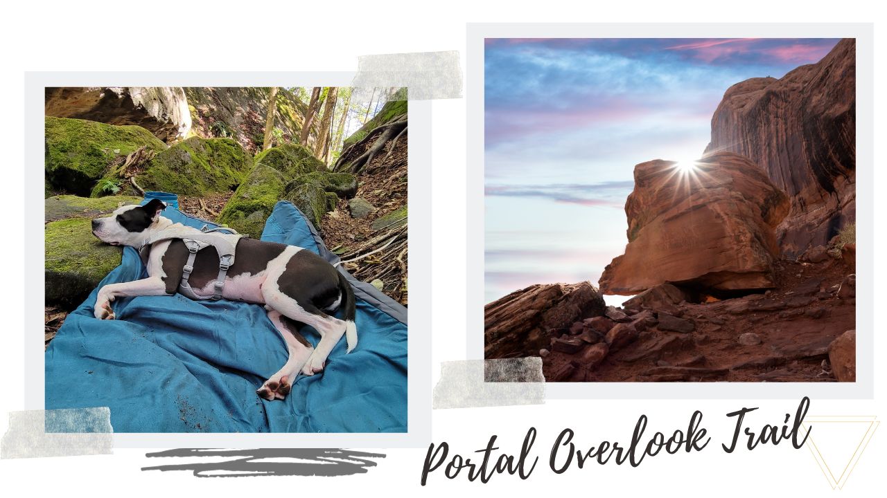 Portal Overlook Trail Guide<br />
