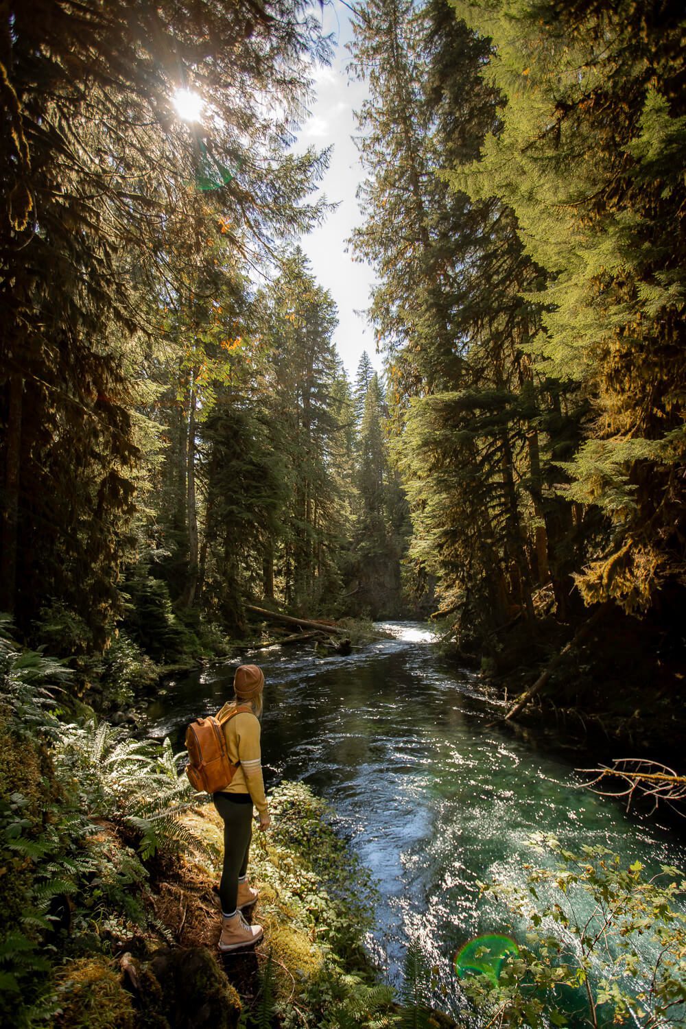 Shalie Falls 