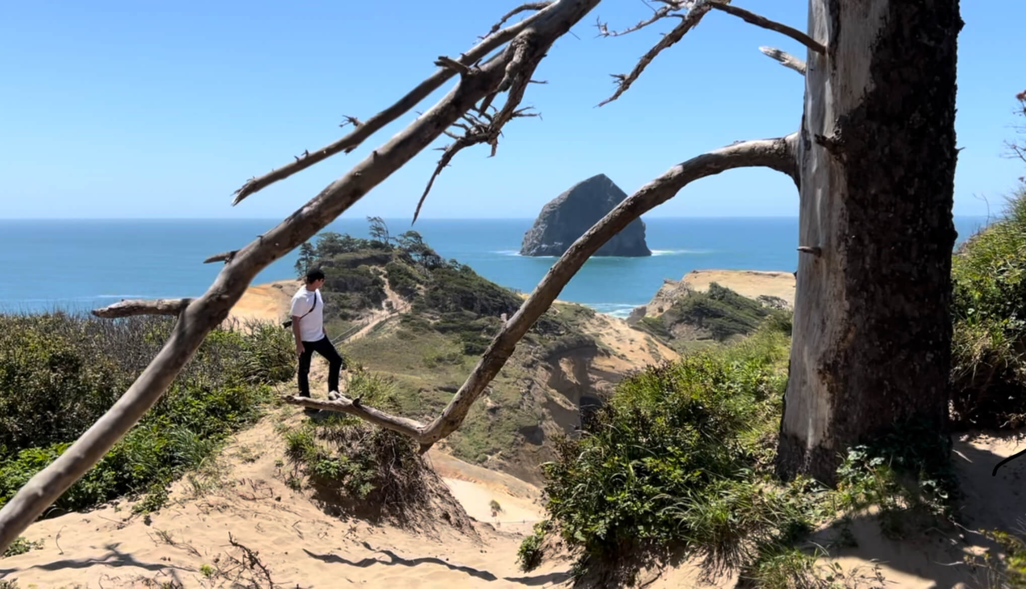 Top of Cape Kiwanda in Pacific City