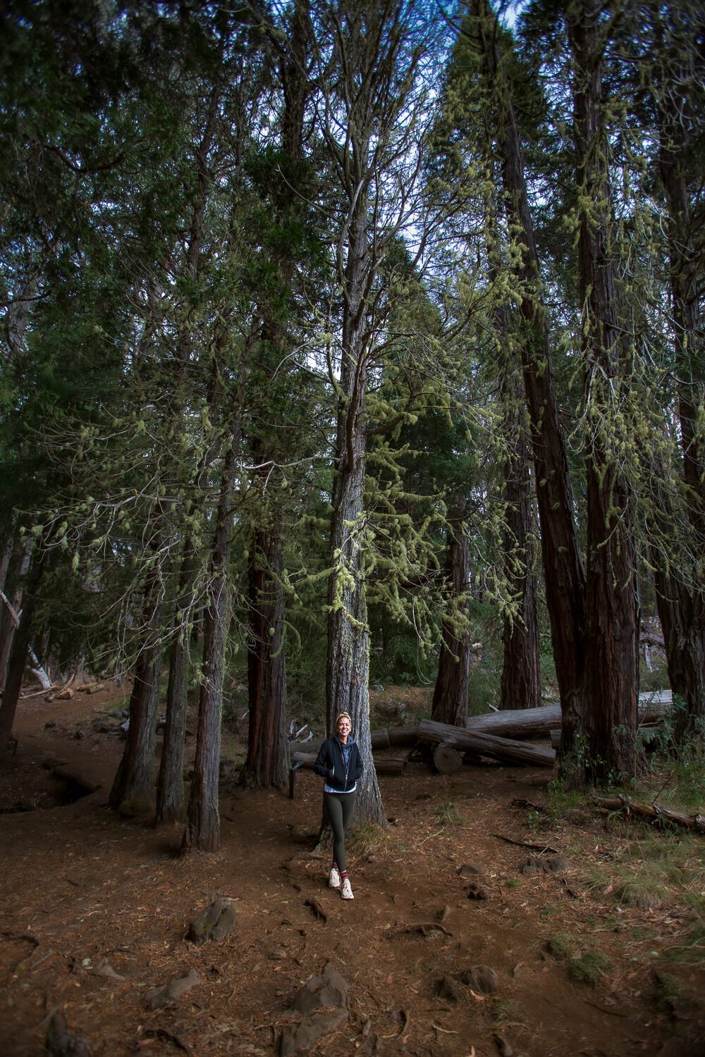 Hosmer Grove Trail Hike