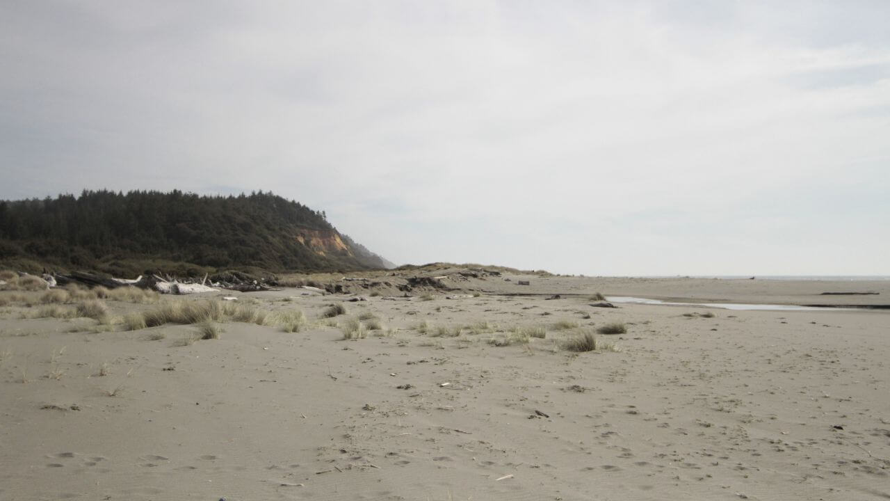Gold Bluffs Beach