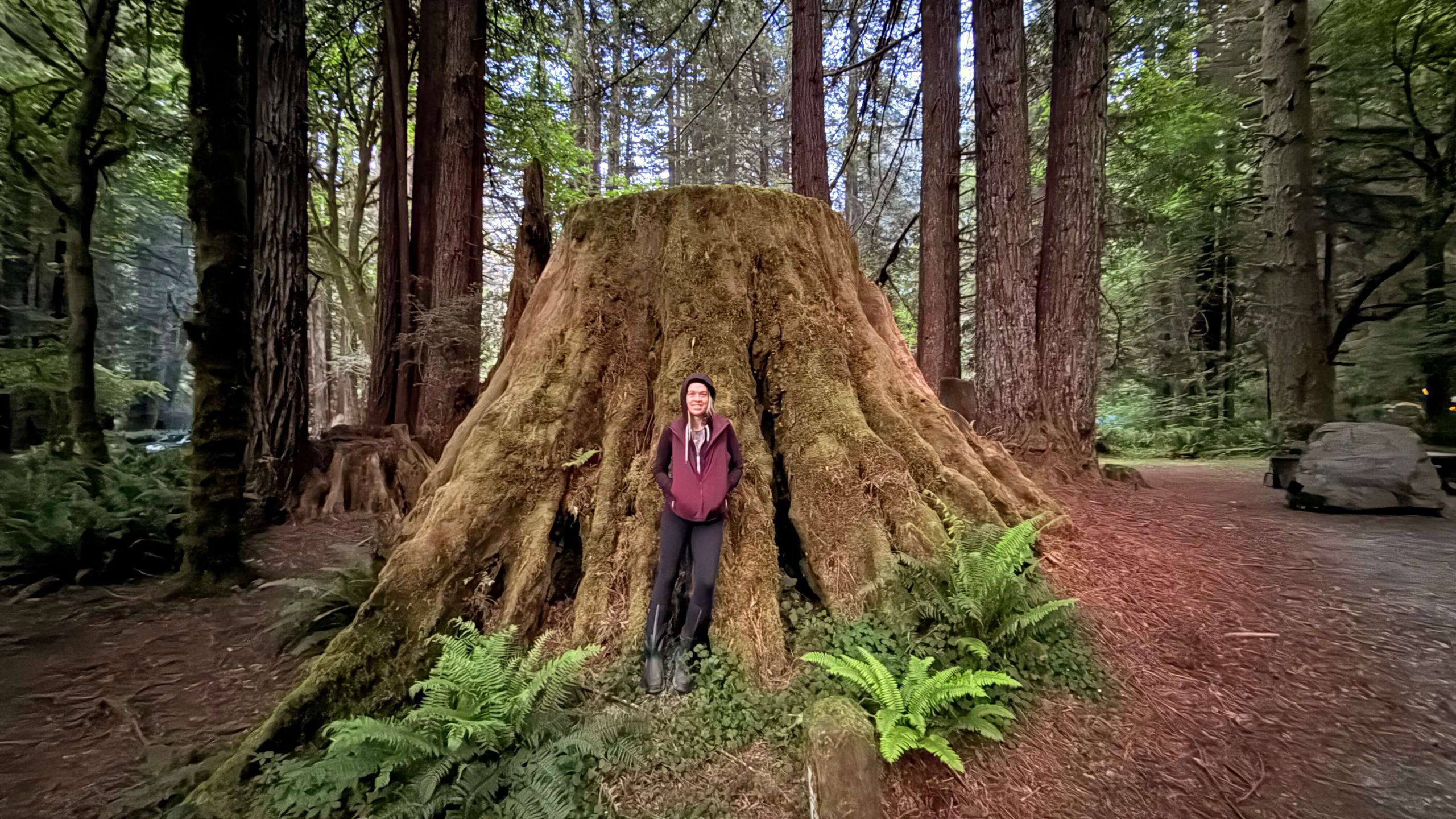 I'm Jess traveling in the Redwoods National Park