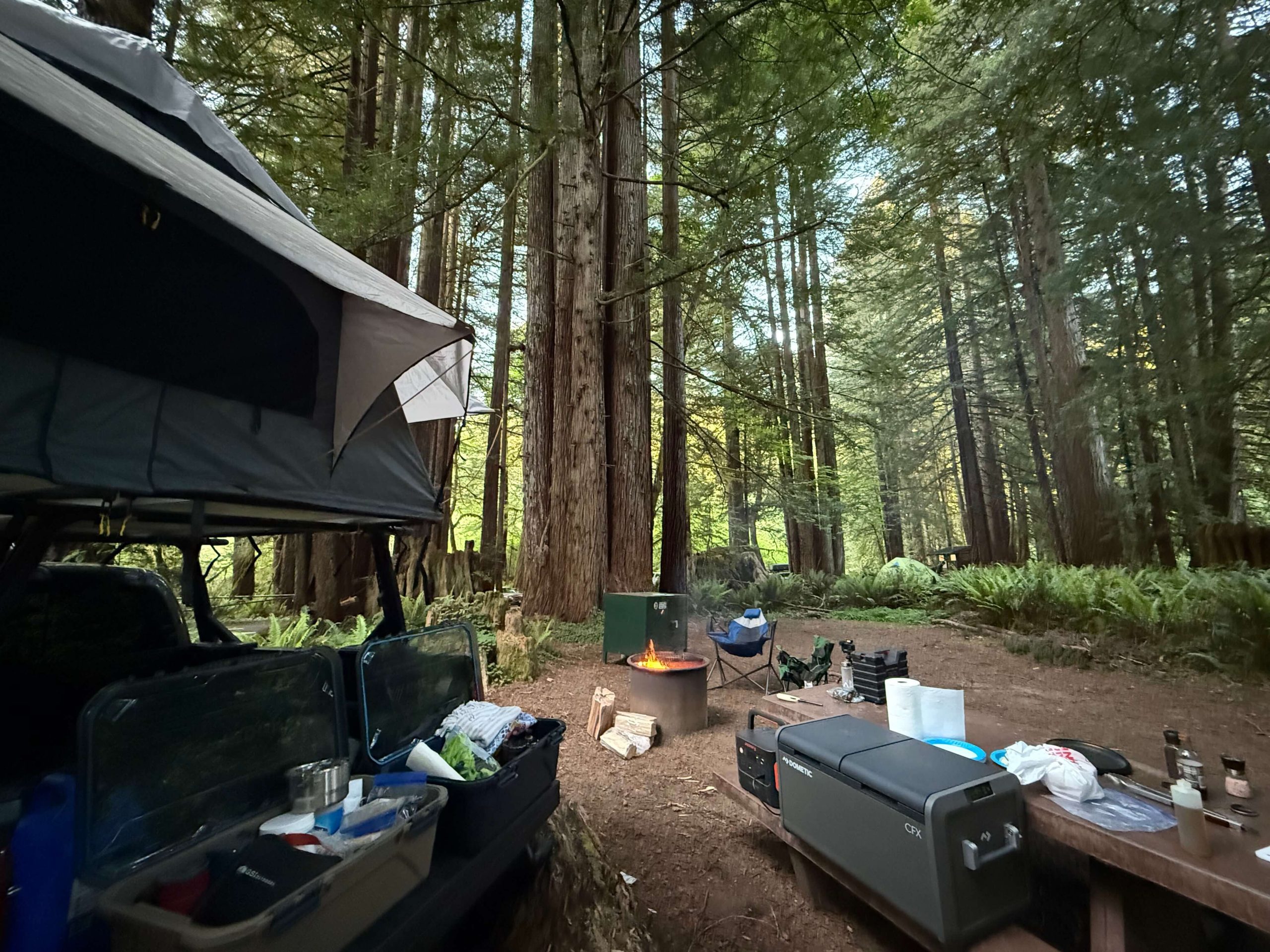 Camping in the Redwood State Parks