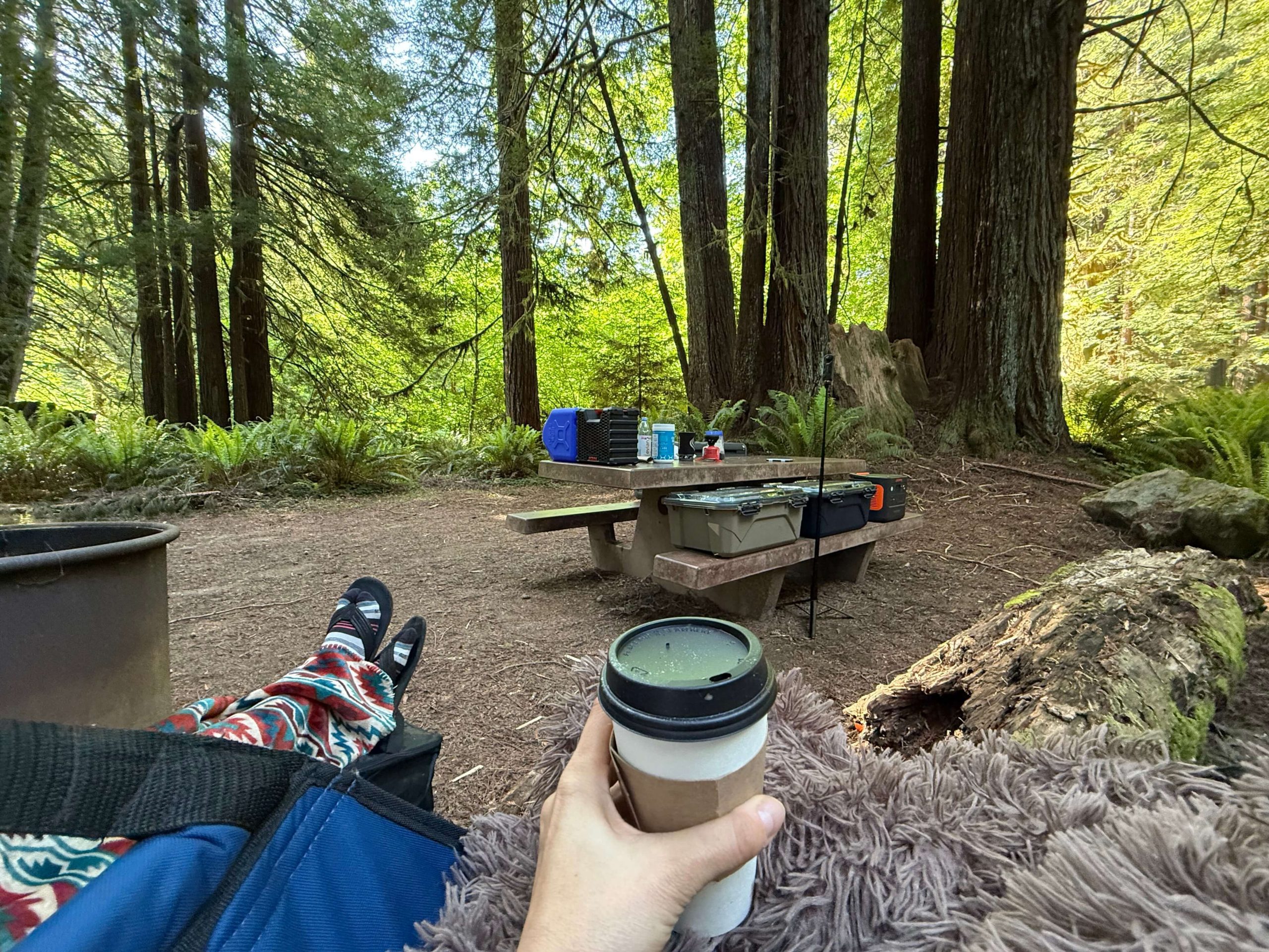 Camping in the Redwoods 