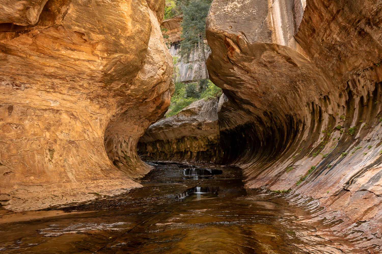 The Subway Hike in Zion National Park