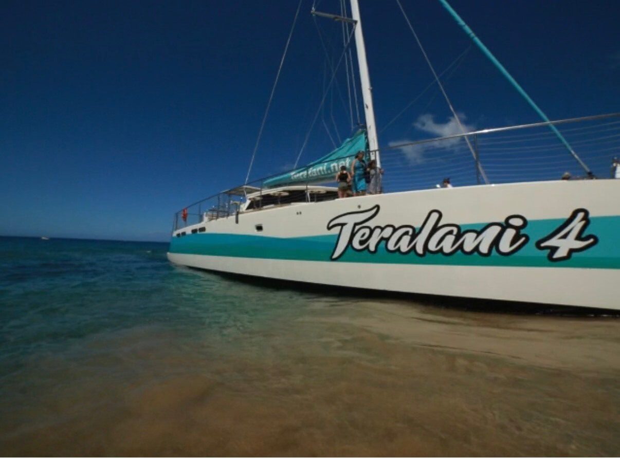 Teralani Whale watch on Maui